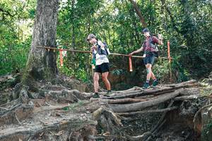 BIB: 
                            <button type="button" onclick="openModal(27744493)" class="btn btn-primary btn-sm float-right btn-popup" data-toggle="modal" data-target=".modal-high-quality">
                        <i class="fas fa-shopping-cart"></i> Add to Cart
                    </button>
                                            <button type="button" onclick="isThisMe(27744493, true)" class="btn btn-success btn-sm float-right btn-popup btn-isme hidden" data-toggle="tooltip" data-placement="bottom" title="นี่คือรูปของคุณใช่ไหม คลิกที่นี่เพื่อเอาเข้าอัลบั้ม">
                        <i class="fas fa-plus"></i> Add to album
                    </button>
                    <button type="button" onclick="isThisMe(27744493, false)" class="btn btn-warning btn-sm float-right btn-popup btn-isnotme hidden">
                        <i class="fas fa-ban"></i> Remove from album
                    </button>